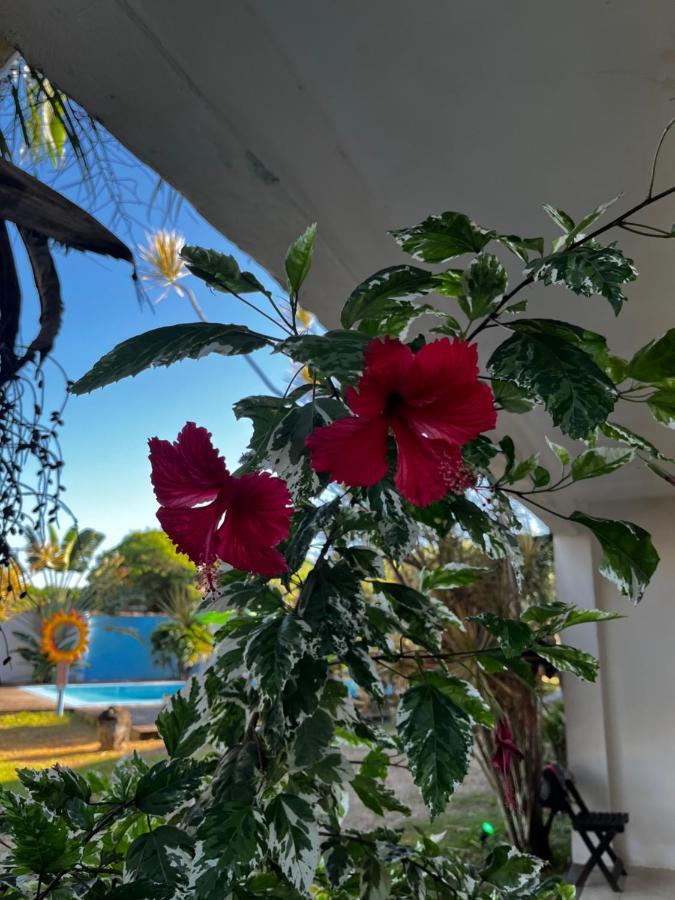 Eco Suites Caravelas Cabo Frio Dış mekan fotoğraf